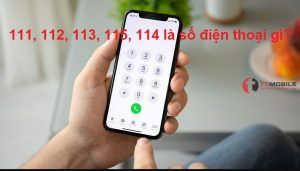 111, 112, 113, 115, 114 là số điện thoại gì