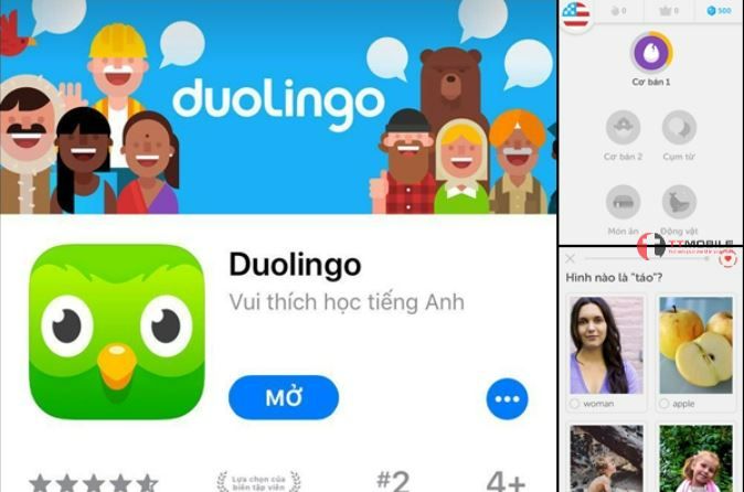 Duolingo - phần mềm học tiếng anh trên điện thoại android và iOS số 1