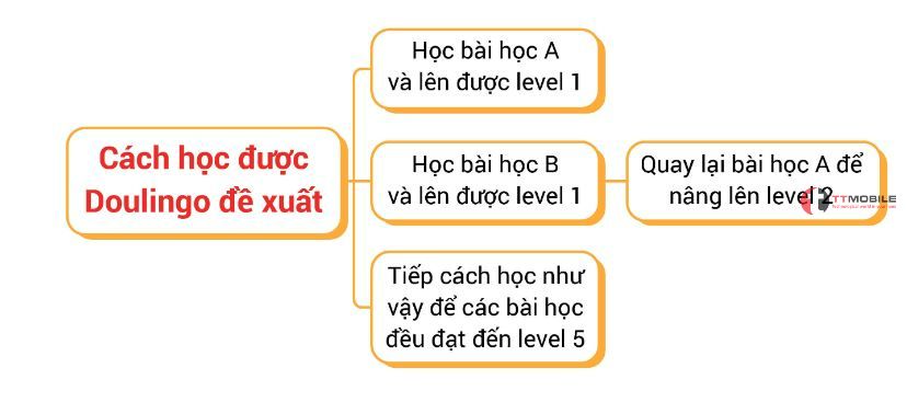 Hướng dẫn học Duolingo để học sâu - nhớ lâu