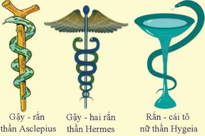 Các biểu tượng rắn trong ngành y hiện nay