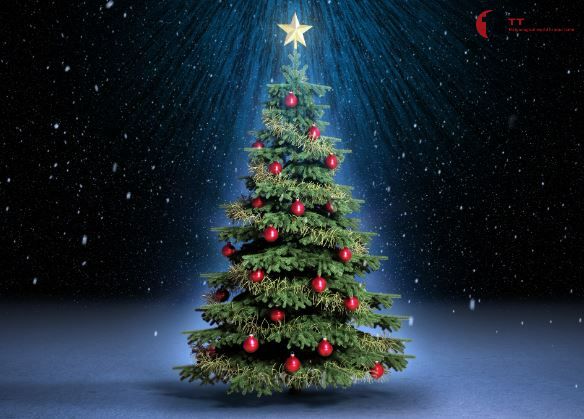Ý nghĩa cây thông Noel hay cây Giáng Sinh