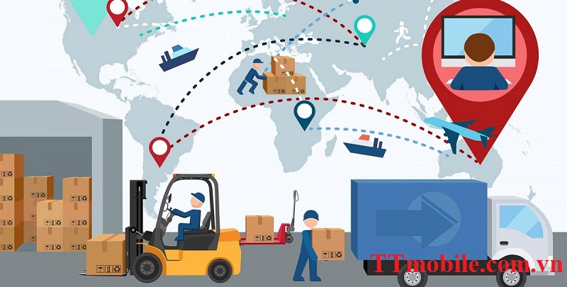 Cargo đóng vai trò quan trọng trong nền kinh tế toàn cầu